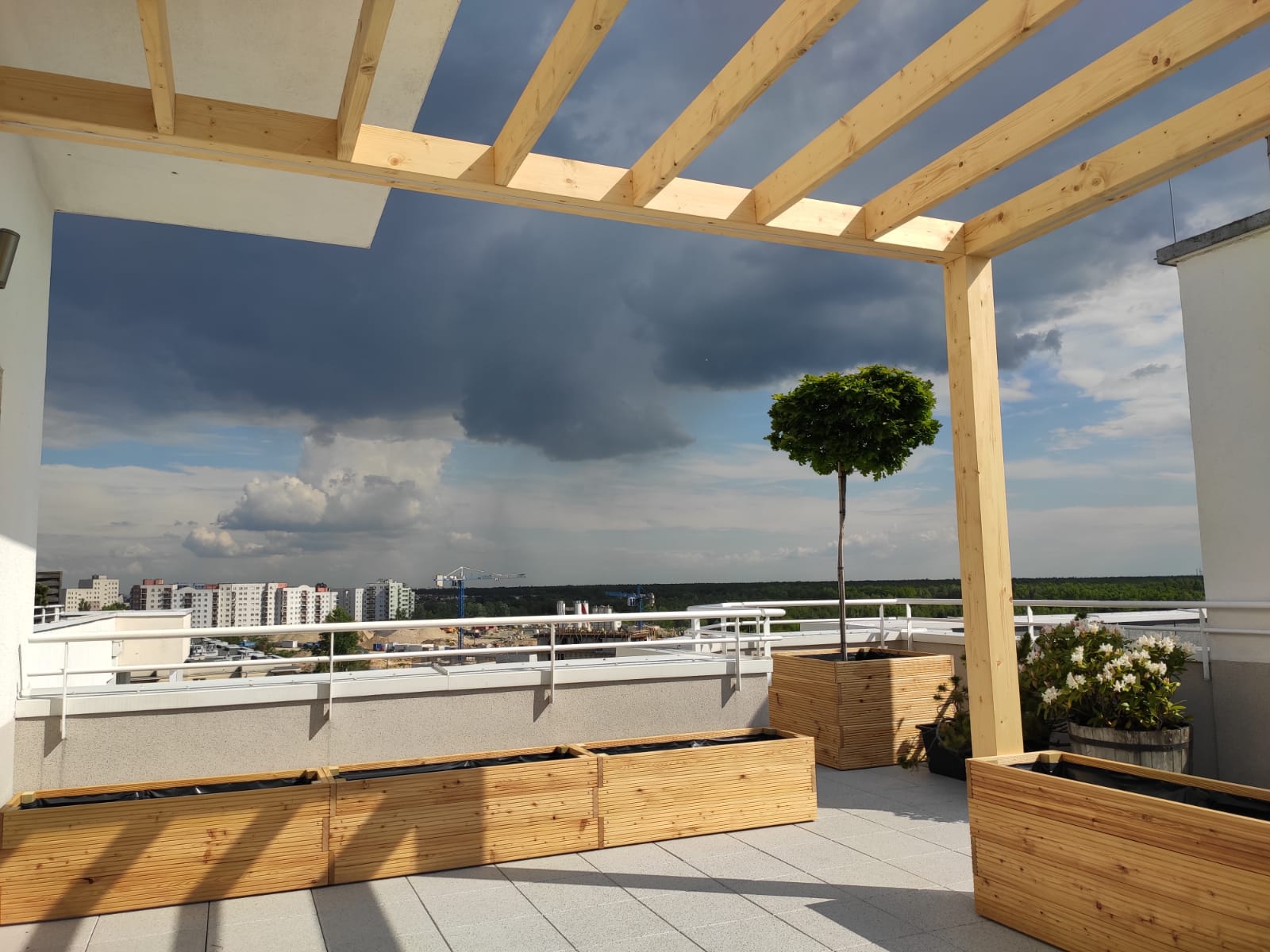 Svg+xml,%3Csvg%20xmlns%3D'http%3A%2F%2Fwww.w3