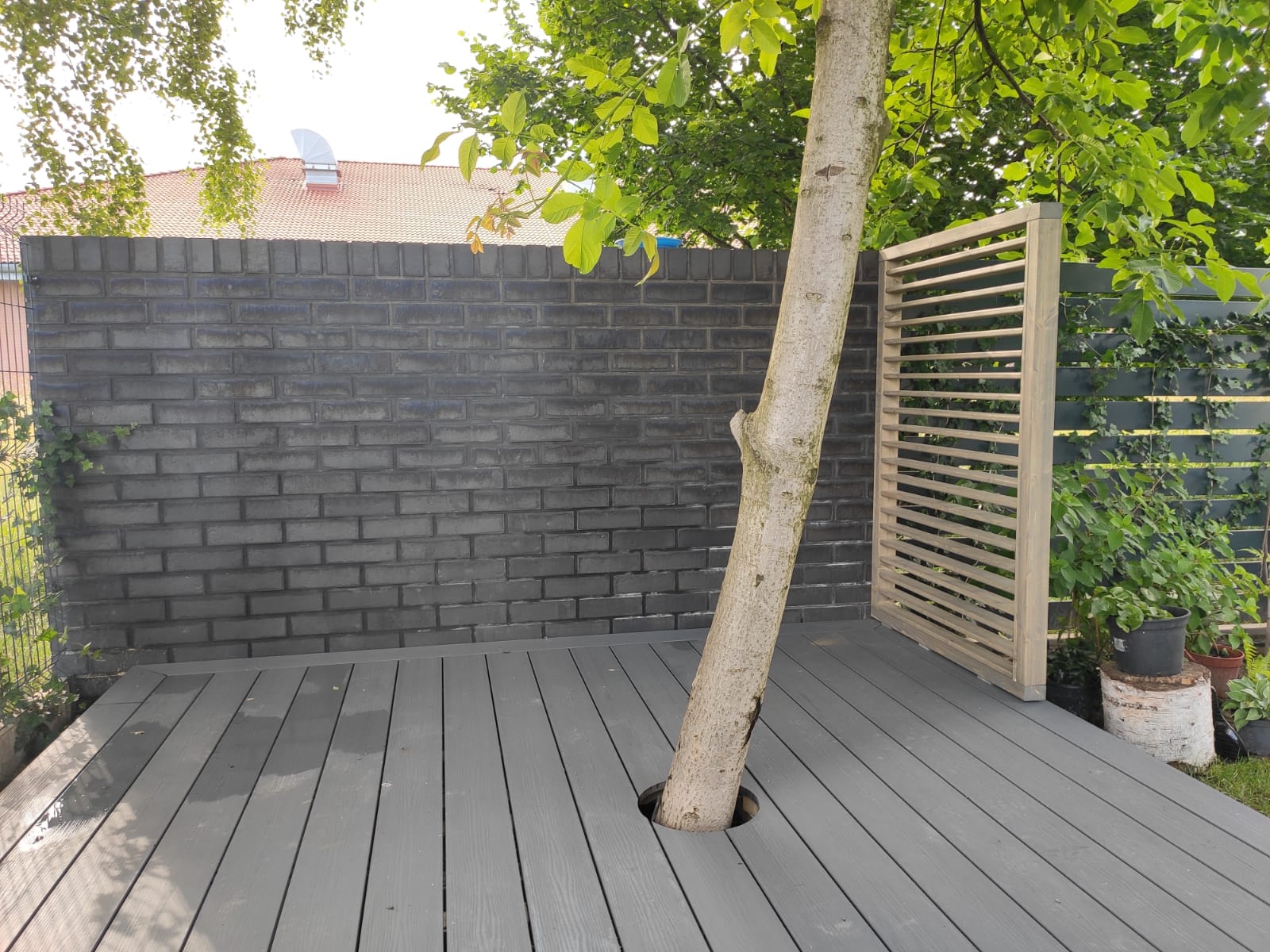 Svg+xml,%3Csvg%20xmlns%3D'http%3A%2F%2Fwww.w3